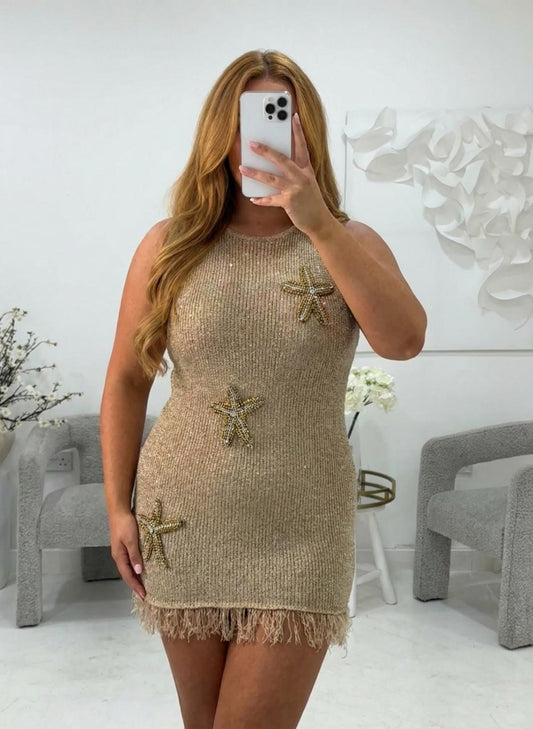 Ariel Luxe Plus Size Mini Dress Champagne